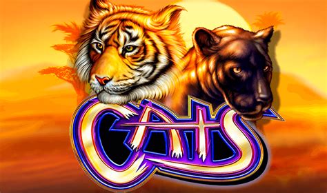 play free igt slot games.